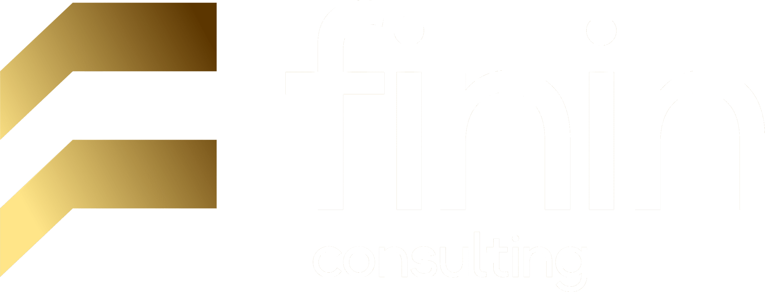 FININ Consulting